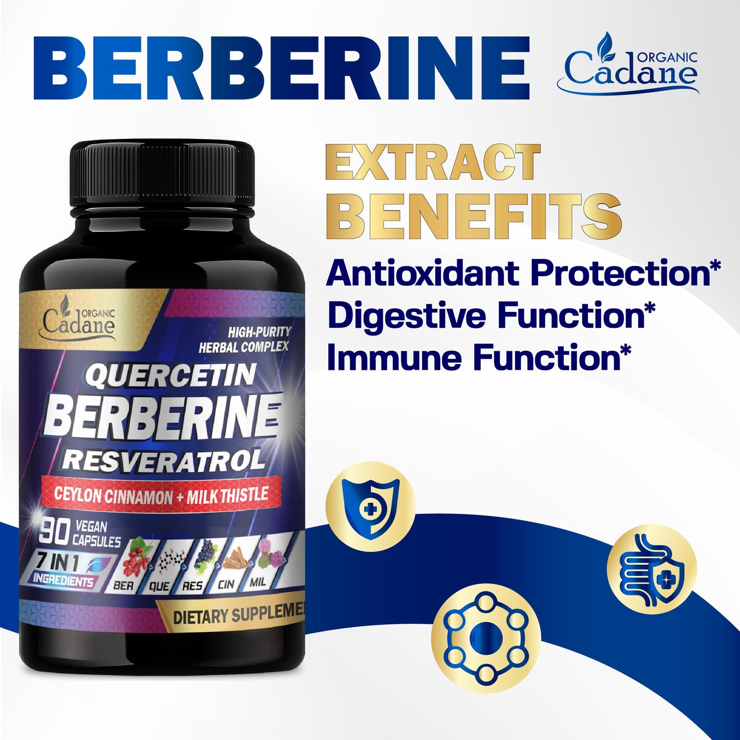 Organic Cadane 7in1 Pure Berberine Supplement with Quercetin, Ceylon Cinnamon, Resveratrol, Milk Thistle, Grape Seed, and Black Pepper - 90 Capsules for 3-Month Supply - Immunity Health Support - Medaid International