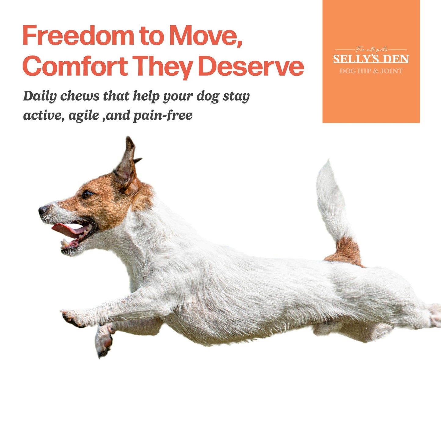 Selly’s Den Dog Hip and Joint Supplement for Mobility - Glucosamine, Chondroitin and MSM for Joint Health Relief - Made in USA - Chicken Flavor Soft Chew - 90 Count