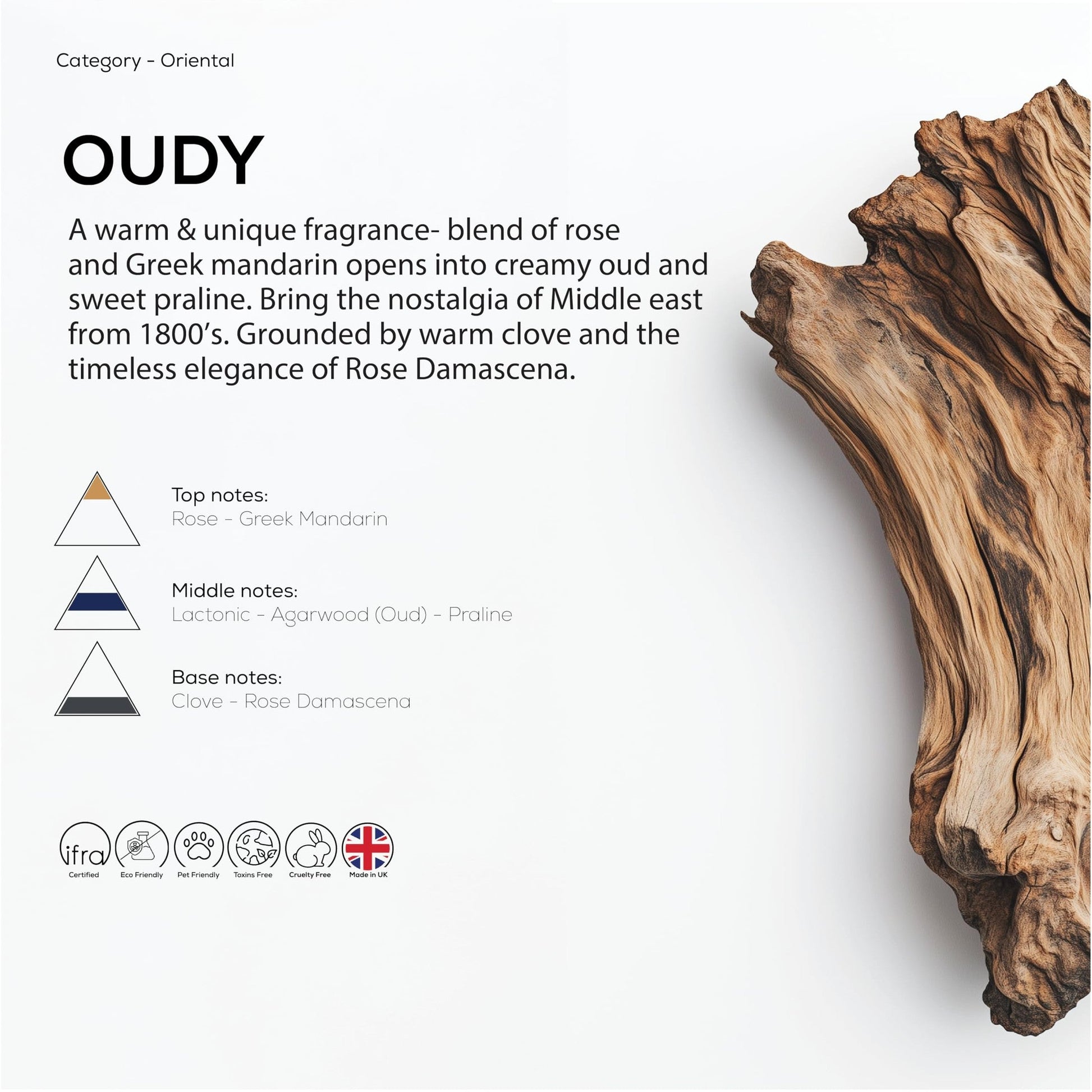 Dr Scent Diffuser Aroma Oudy, With Intense Notes of Rich Agarwood, Sweet Hearty Notes of Praline, Finishing with Strong Woody Hints of Clove (170ml) - Medaid International