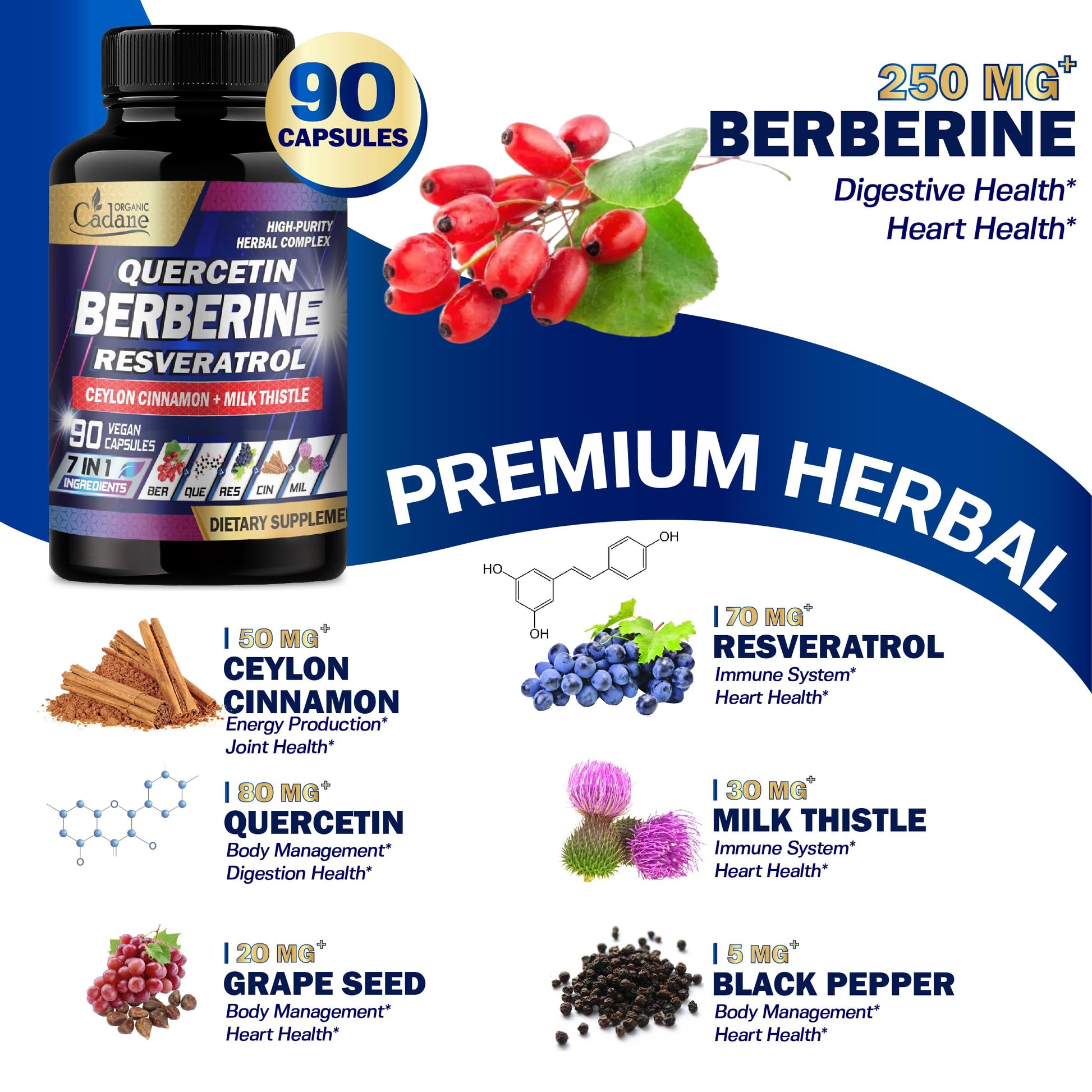 Organic Cadane 7in1 Pure Berberine Supplement with Quercetin, Ceylon Cinnamon, Resveratrol, Milk Thistle, Grape Seed, and Black Pepper - 90 Capsules for 3-Month Supply - Immunity Health Support - Medaid International