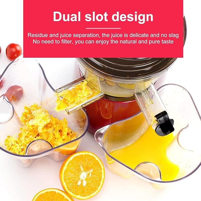 Slow Juicer