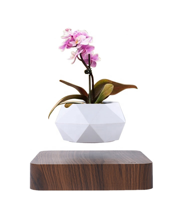 Floating Flower Pot