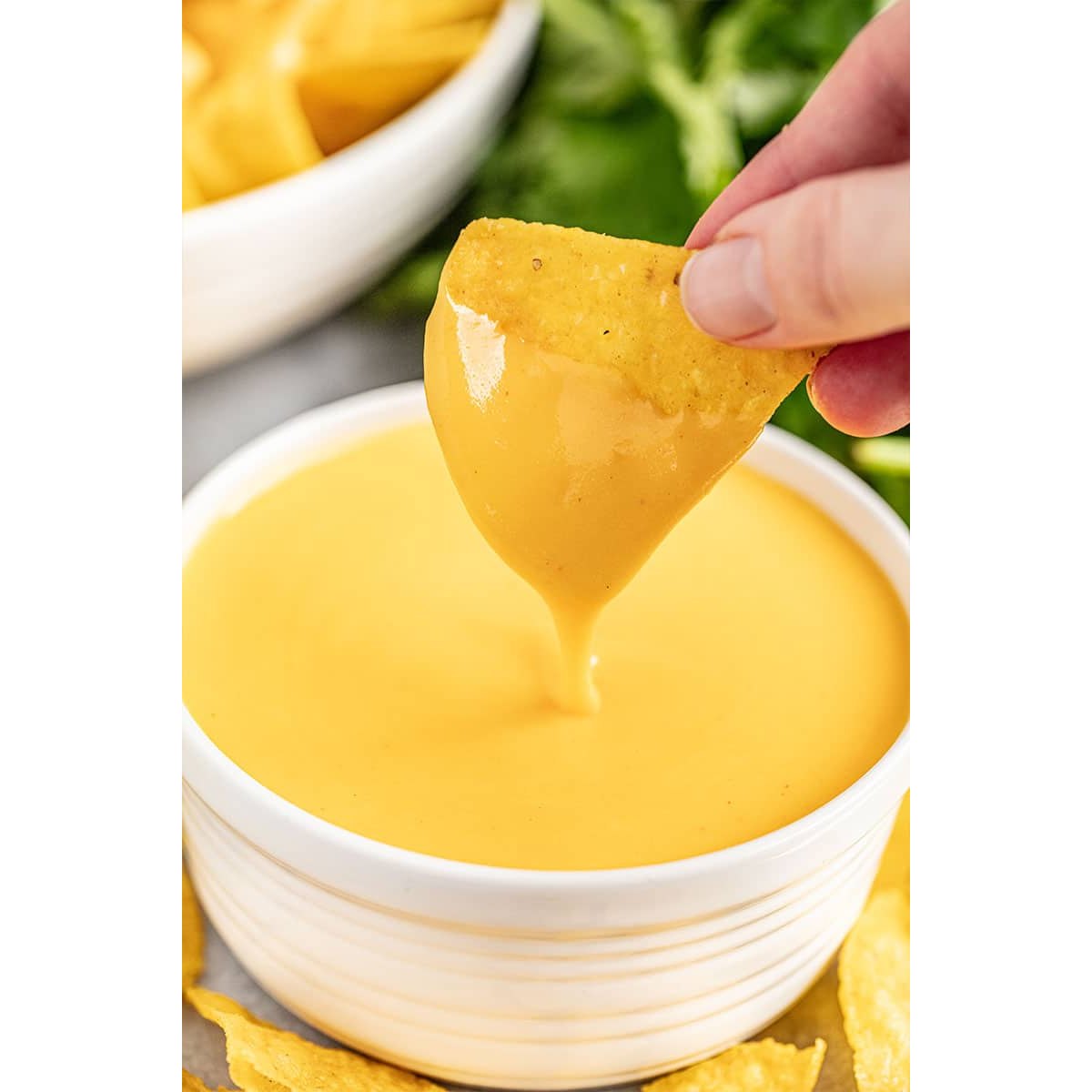 Cheddar Cheese Sauce Black Truffle