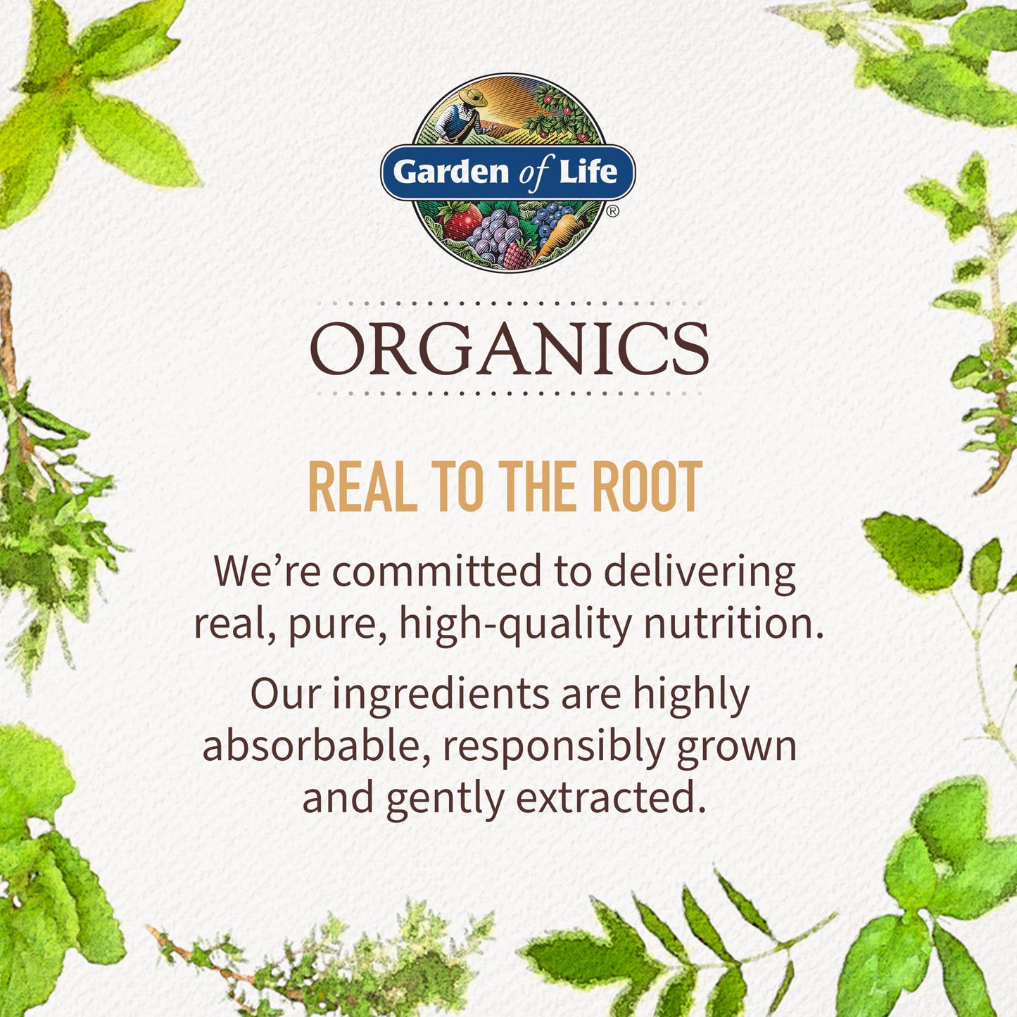 Garden of Life Organics Fair Trade Gelatinized Peruvian Maca Root Energy Boost 7.93 oz (225g) Powder with Probiotics, Certified Organic, Non-GMO, Vegan & Gluten Free Herbal Supplements - Medaid International