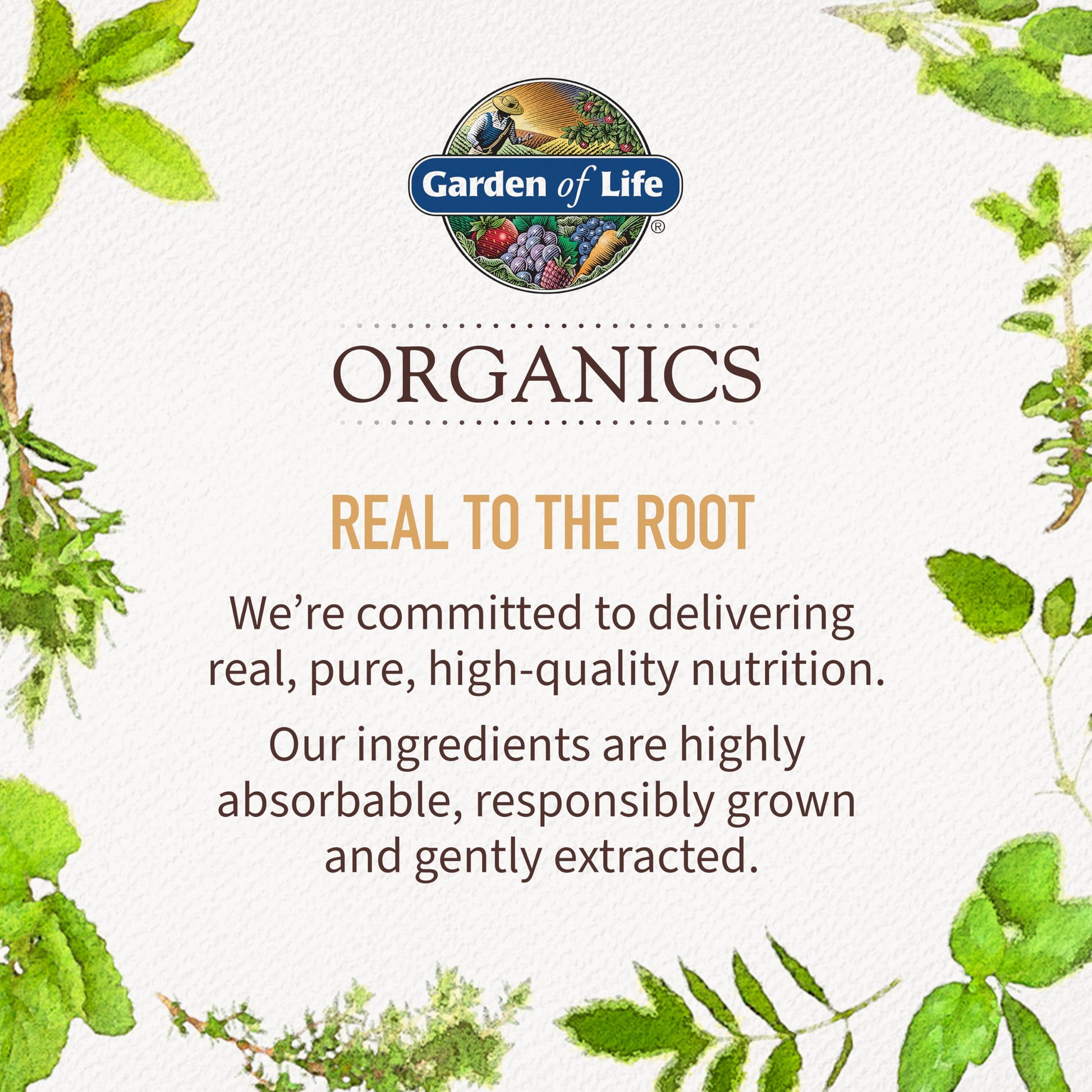 Garden of Life Organics Fair Trade Gelatinized Peruvian Maca Root Energy Boost 7.93 oz (225g) Powder with Probiotics, Certified Organic, Non-GMO, Vegan & Gluten Free Herbal Supplements - Medaid International