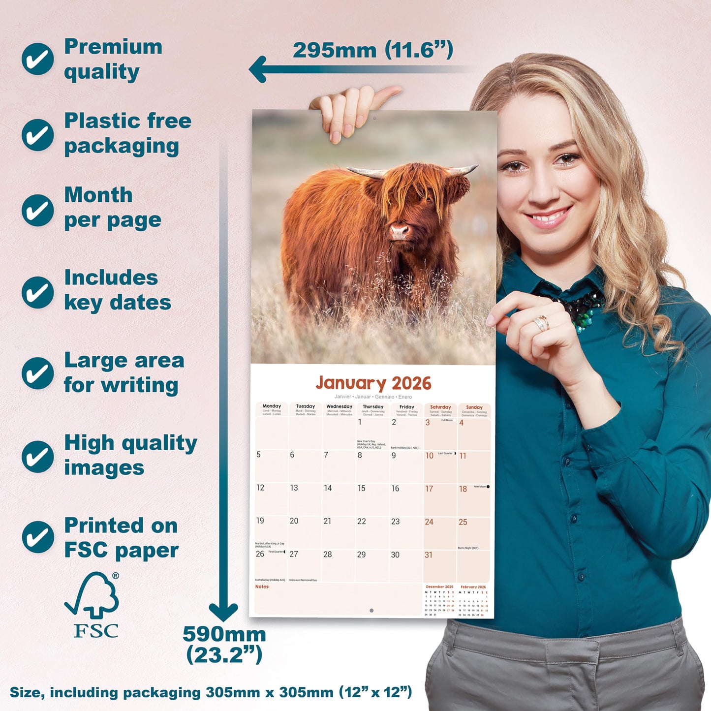 Highland Cows Calendar 2026 | 12 Month Wall Calendar | Avonside Publishing | Plastic Free Packaging - Medaid International