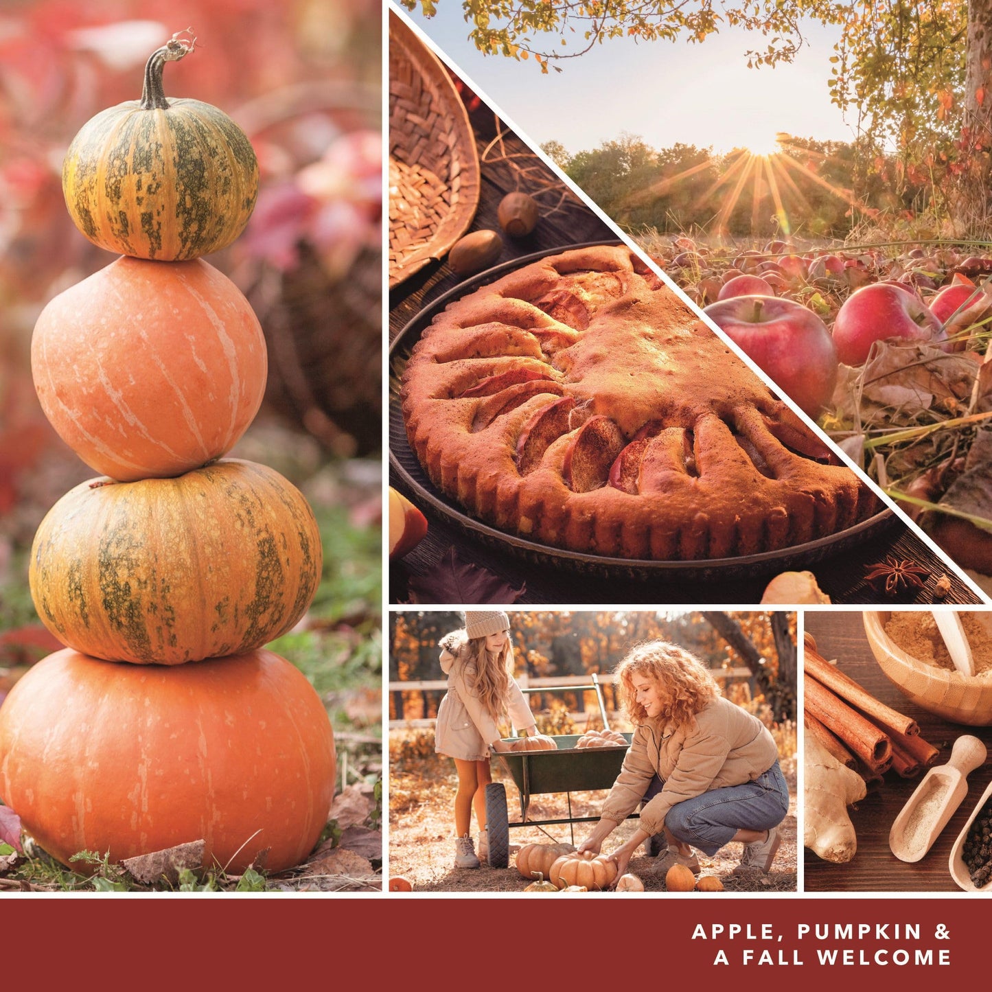Yankee Candle Apple Pumpkin ScentPlug Refill 4-Pack - Medaid International