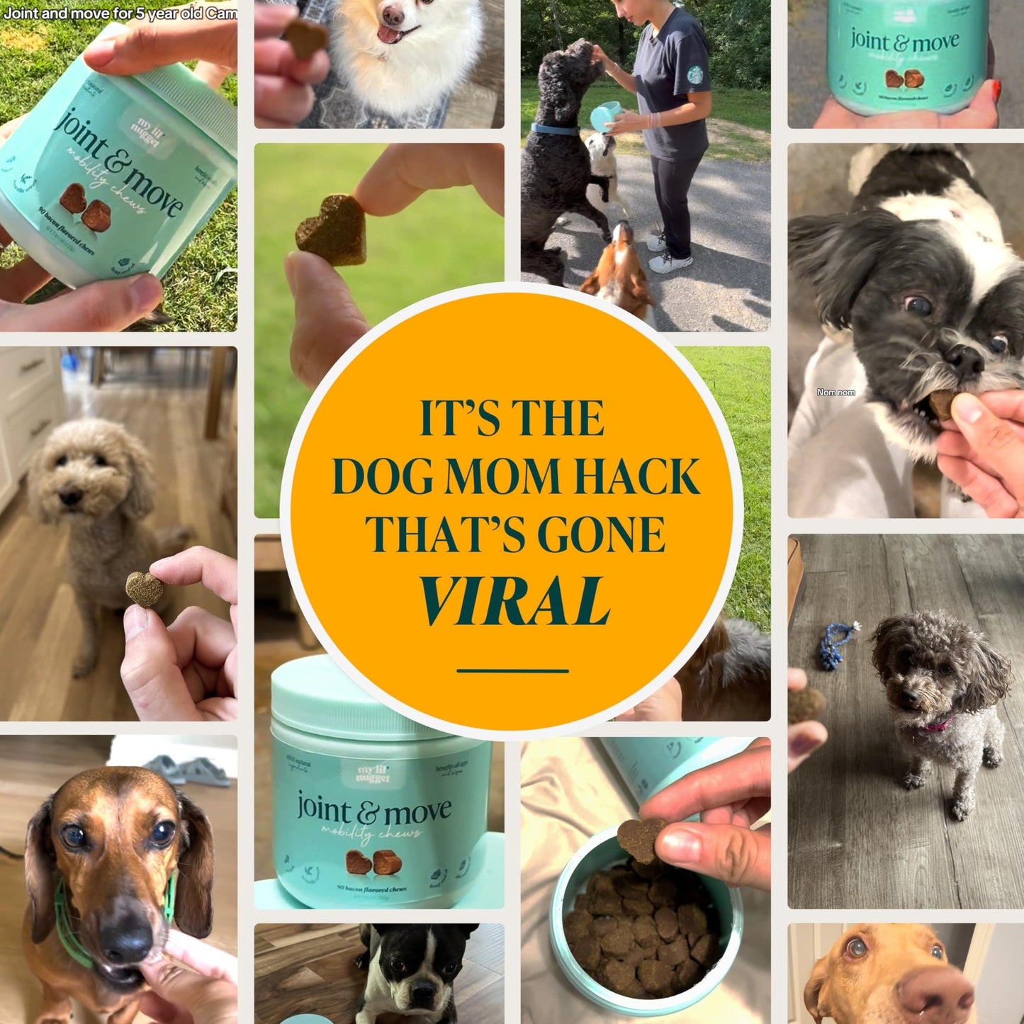 My Lil’ Nugget – Vet-Approved Hip and Joint Support for Dogs | All-Natural Dog Arthritis & Joint Pain Relief | Glucosamine, Chondroitin & Hemp | All-Ages – Senior Dog to Puppy | 90 Bacon Flavor Chews