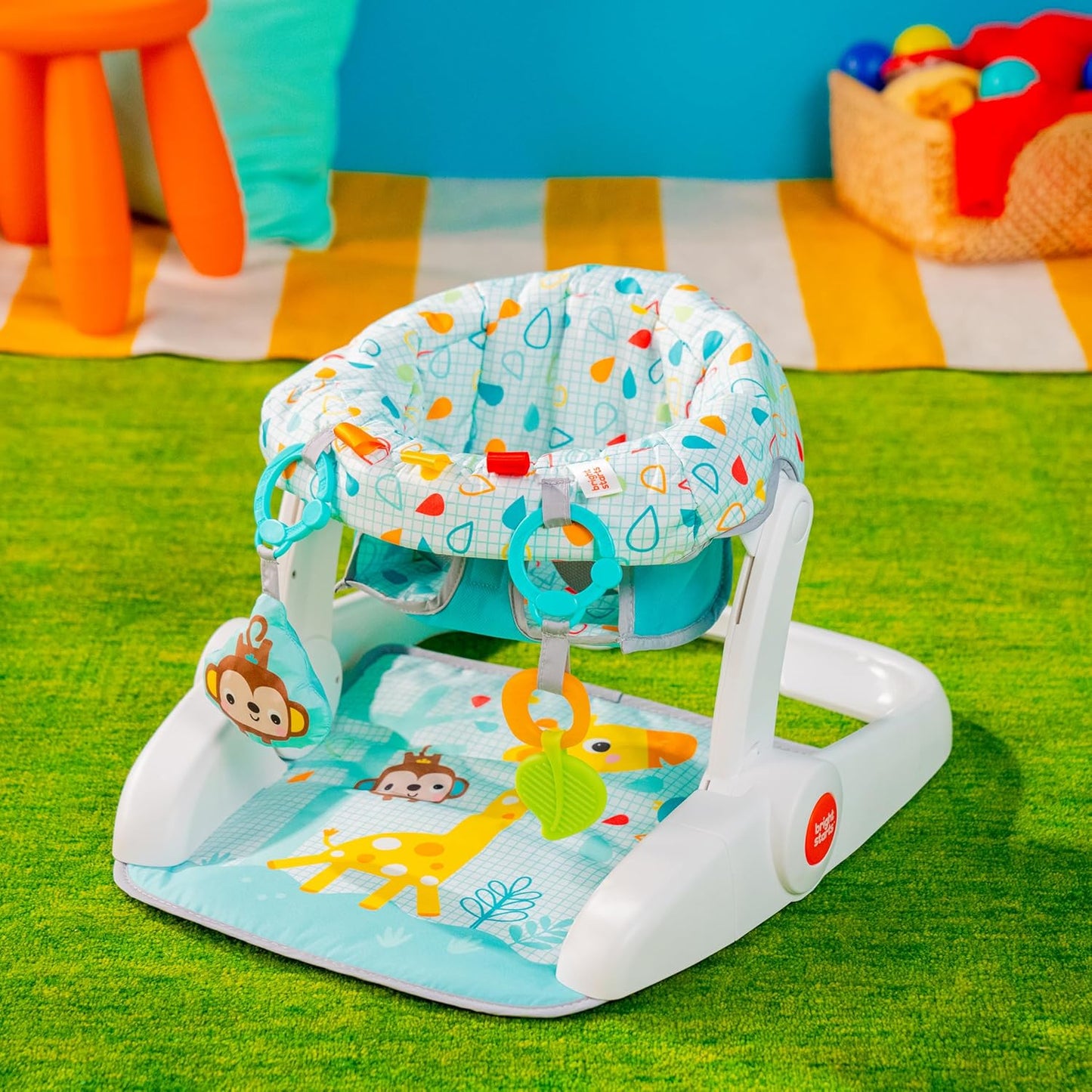 Kids2 - Bs Wild Vibes Learn To Sit