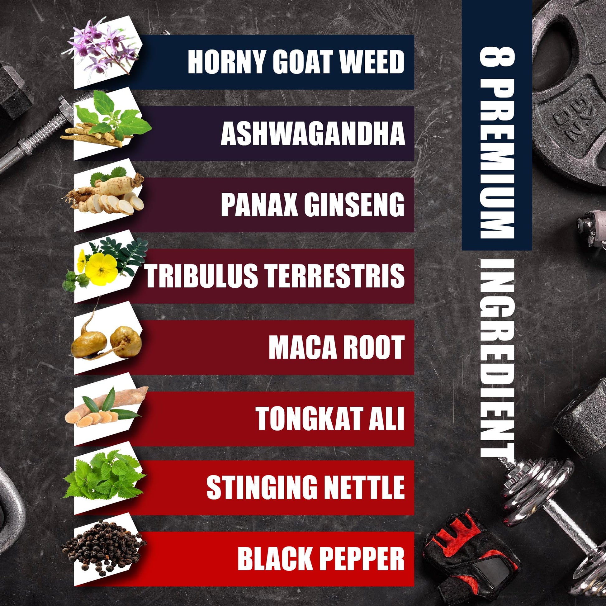 BMVINVOL Horny Goat Weed for Men - Extra Strength Supplement with Maca, Ginseng, Tribulus Terrestris, Ashwagandha - 90 Capsules - Medaid International