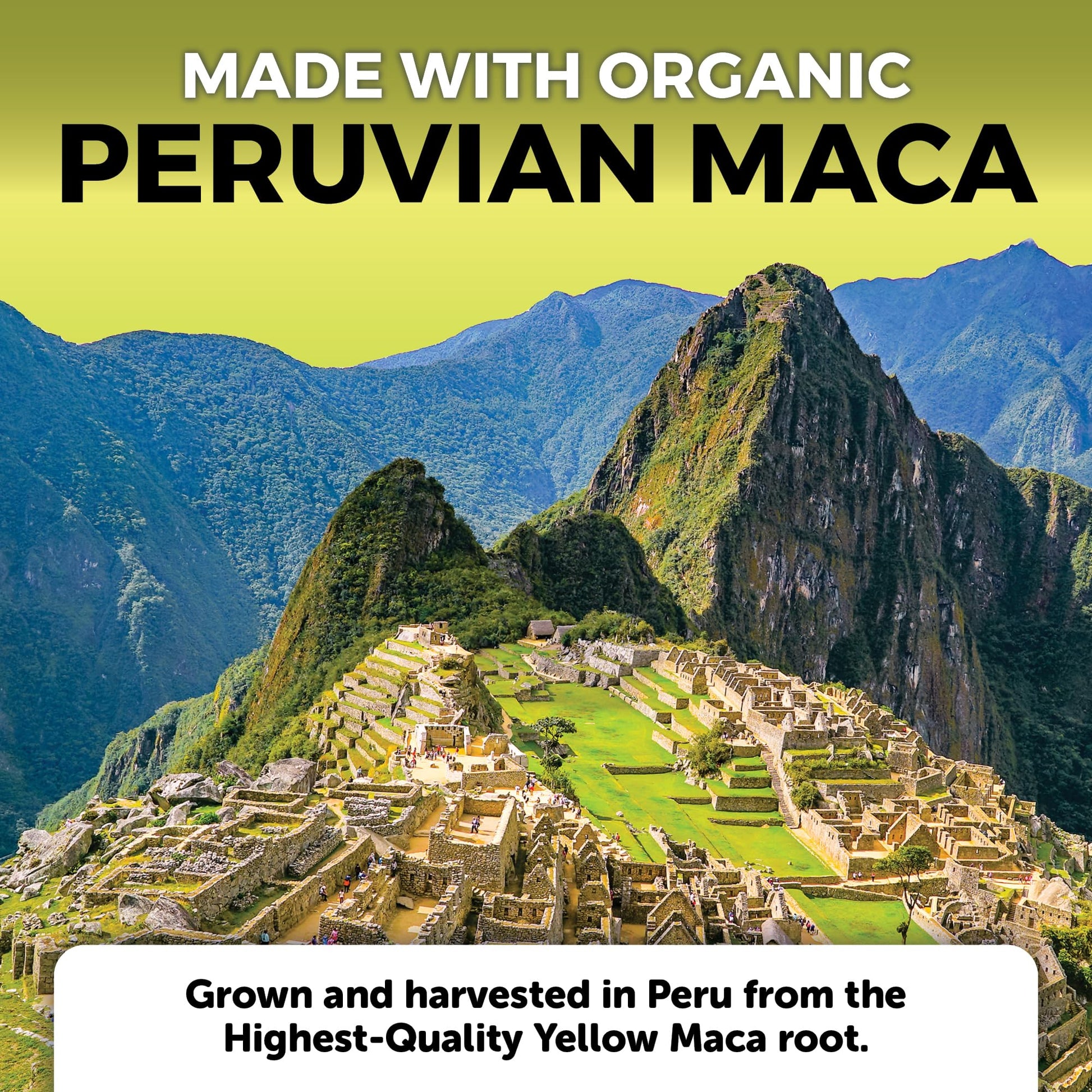 Peruvian Maca Root Supplement for Women & Men, 500mg - Traditionally Used for Energy, Stamina & Endurance - 250 Yellow Maca Root Powder Capsules, Gelatinized for Easier Digestion - Medaid International
