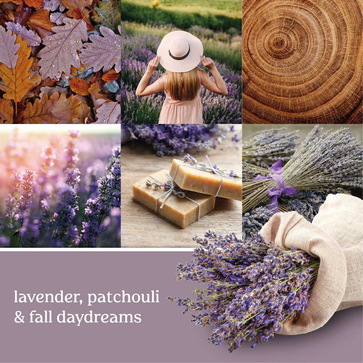 Yankee Candle Dried Lavender & Oak Scented Classic 22 Oz Large Jar Single Wick Aromatherapy Candle Over 110 Hours of Burn Time Ideal for Creating a Welcoming Home Perfect for Gifting - Medaid International