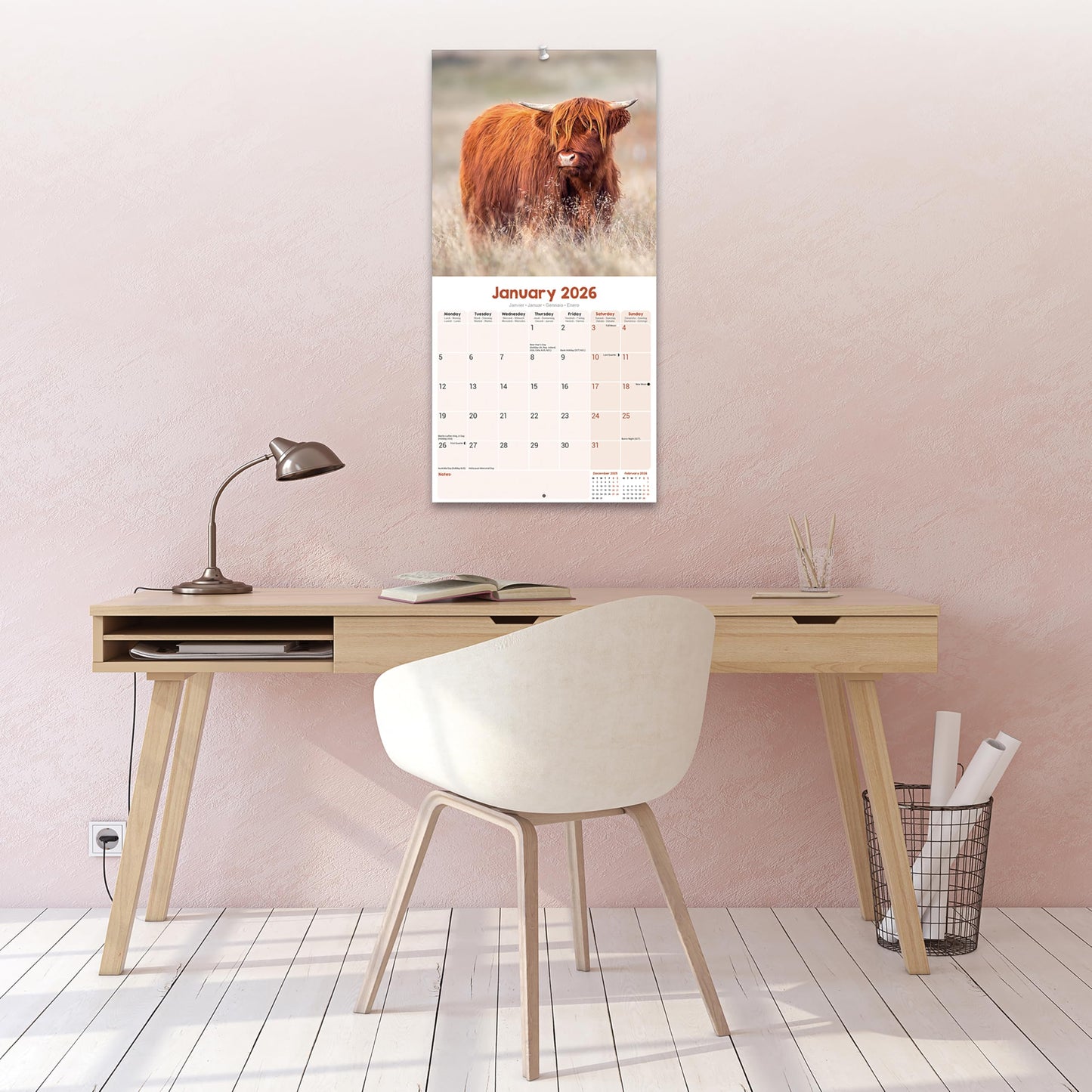 Highland Cows Calendar 2026 | 12 Month Wall Calendar | Avonside Publishing | Plastic Free Packaging - Medaid International