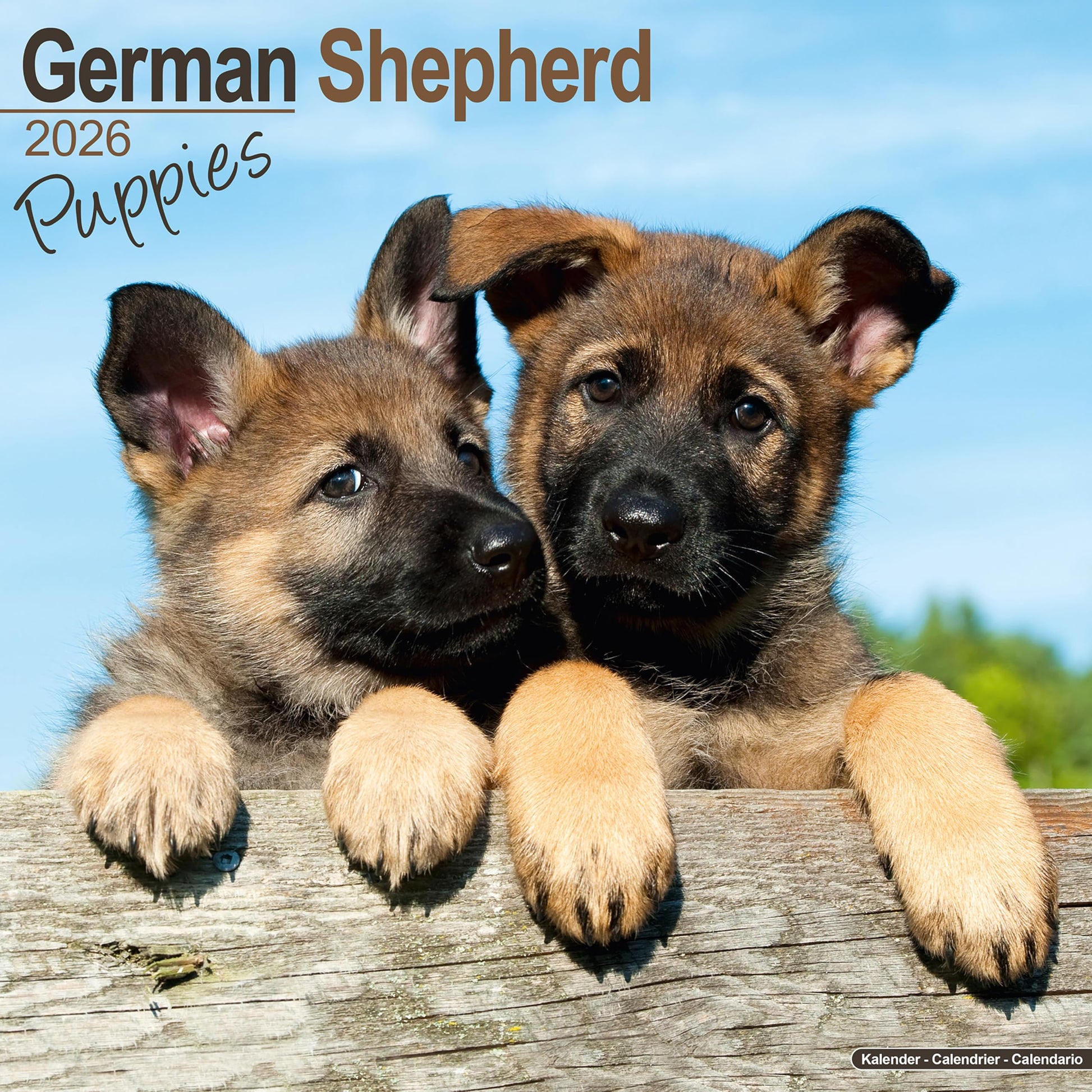 German Shepherd Puppies 2026 Calendar | Square Wall Calendar | Dog Breed Gift | Plastic Free Packaging | by Avonside Publishing - Medaid International