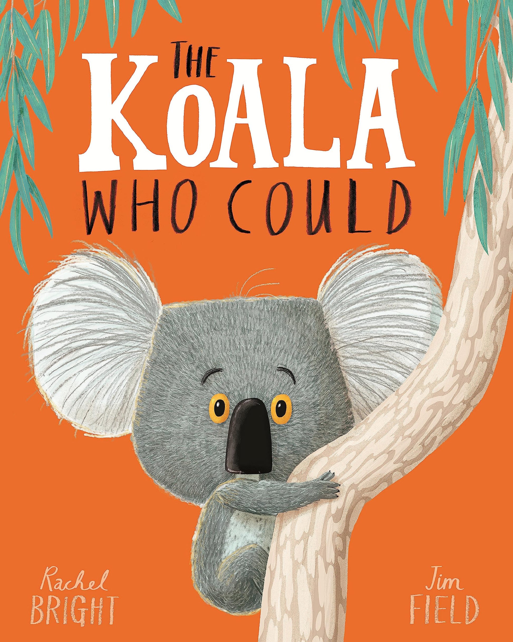 The koala who could - Medaid International