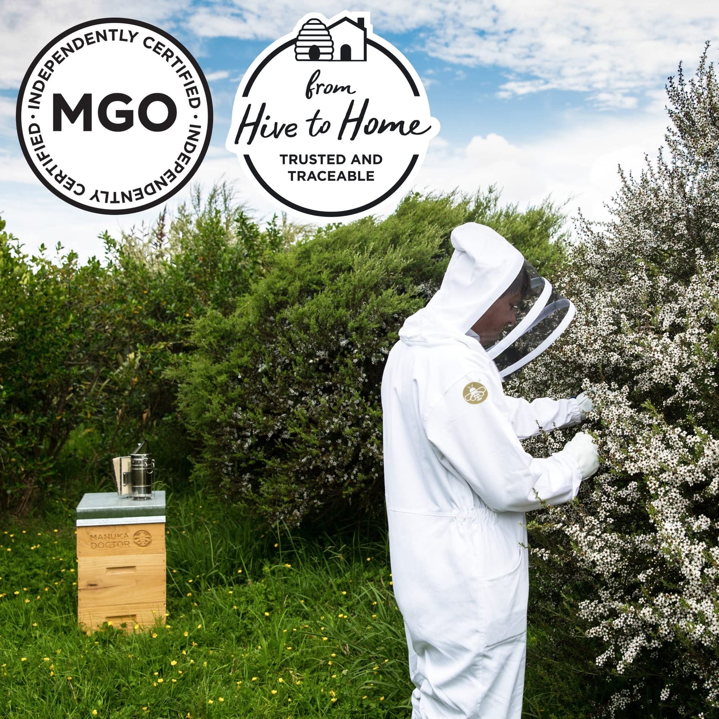 Manuka Doctor - MGO 125+ Manuka Honey Monofloral, 100% Pure New Zealand Honey. Certified. Guaranteed. Raw. Non-GMO (8.75 oz) - Medaid International