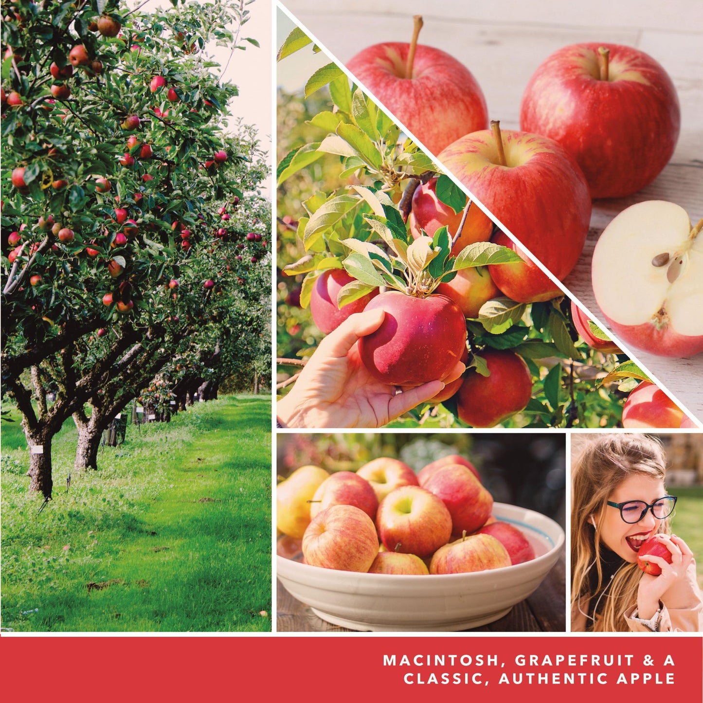 Yankee Candle Macintosh ScentPlug Refill 4-Pack - Medaid International