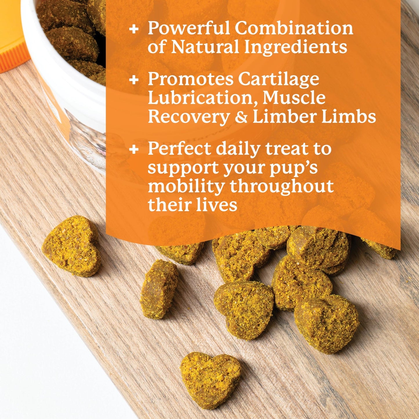 Dr. Harvey's Hip & Joint Soft Chews for Dogs, Daily Mobility Supplement Chewable Bites for Dogs with Glucosamine, Chondroitin & MSM, Green Lipped Mussel, Chicken Flavor (90 Chews)