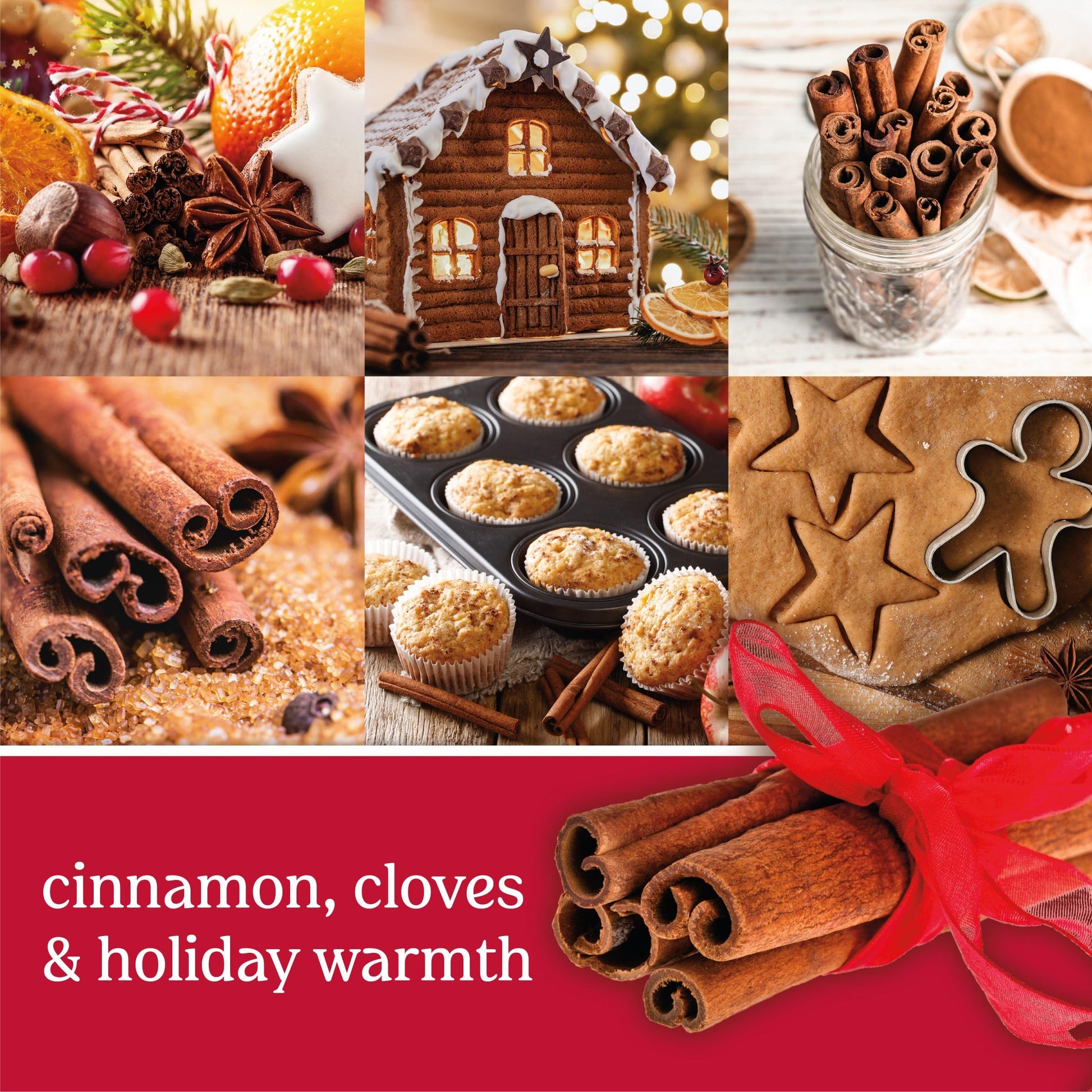 Yankee Candle Sparkling Cinnamon ScentPlug Refill 4-Pack - Medaid International