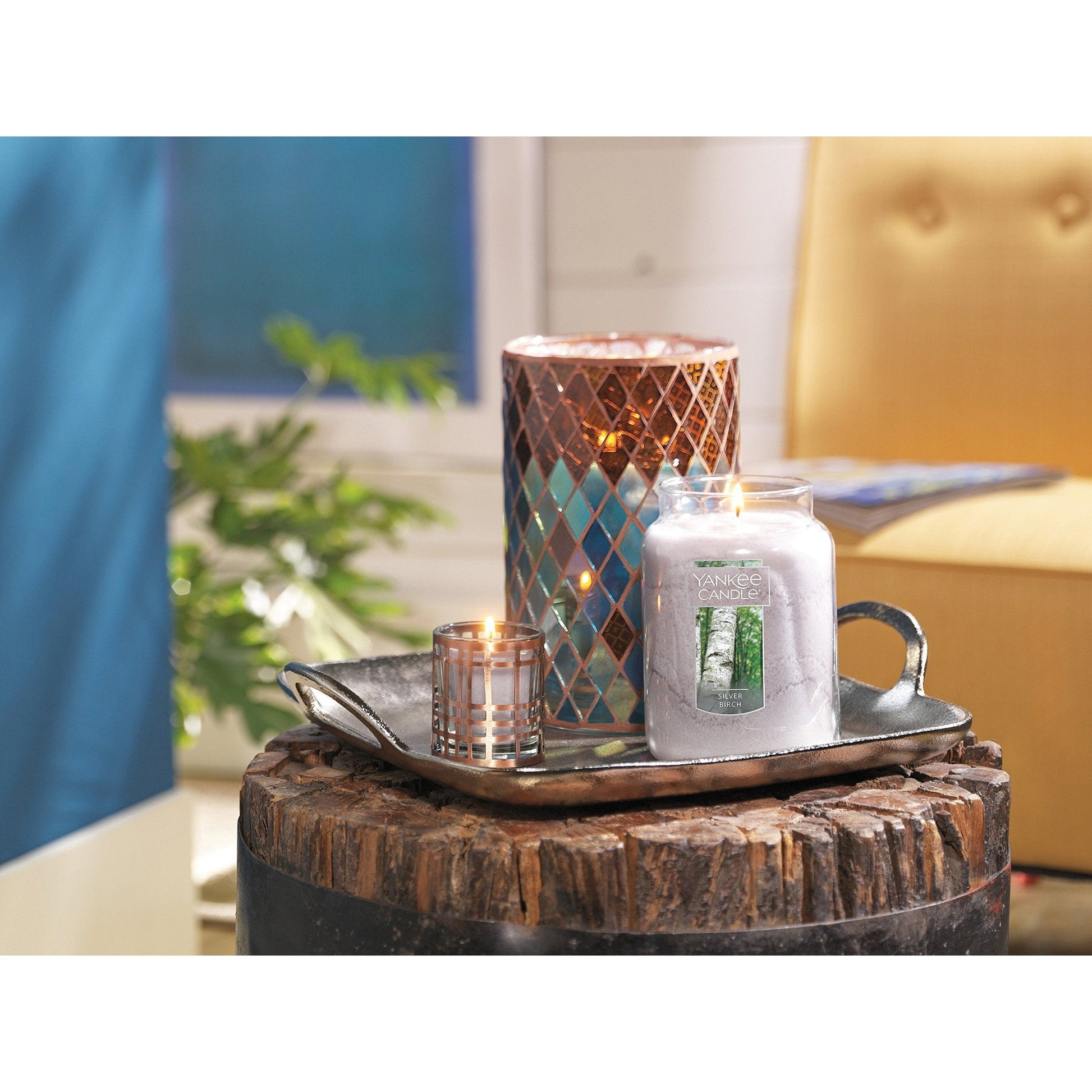 Yankee Candle Silver Birch Scented, Classic 22oz Large Jar Single Wick Aromatherapy Candle, Over 110 Hours of Burn Time, Apothecary Jar Fall Candle, Autumn Candle Scented for Home - Medaid International