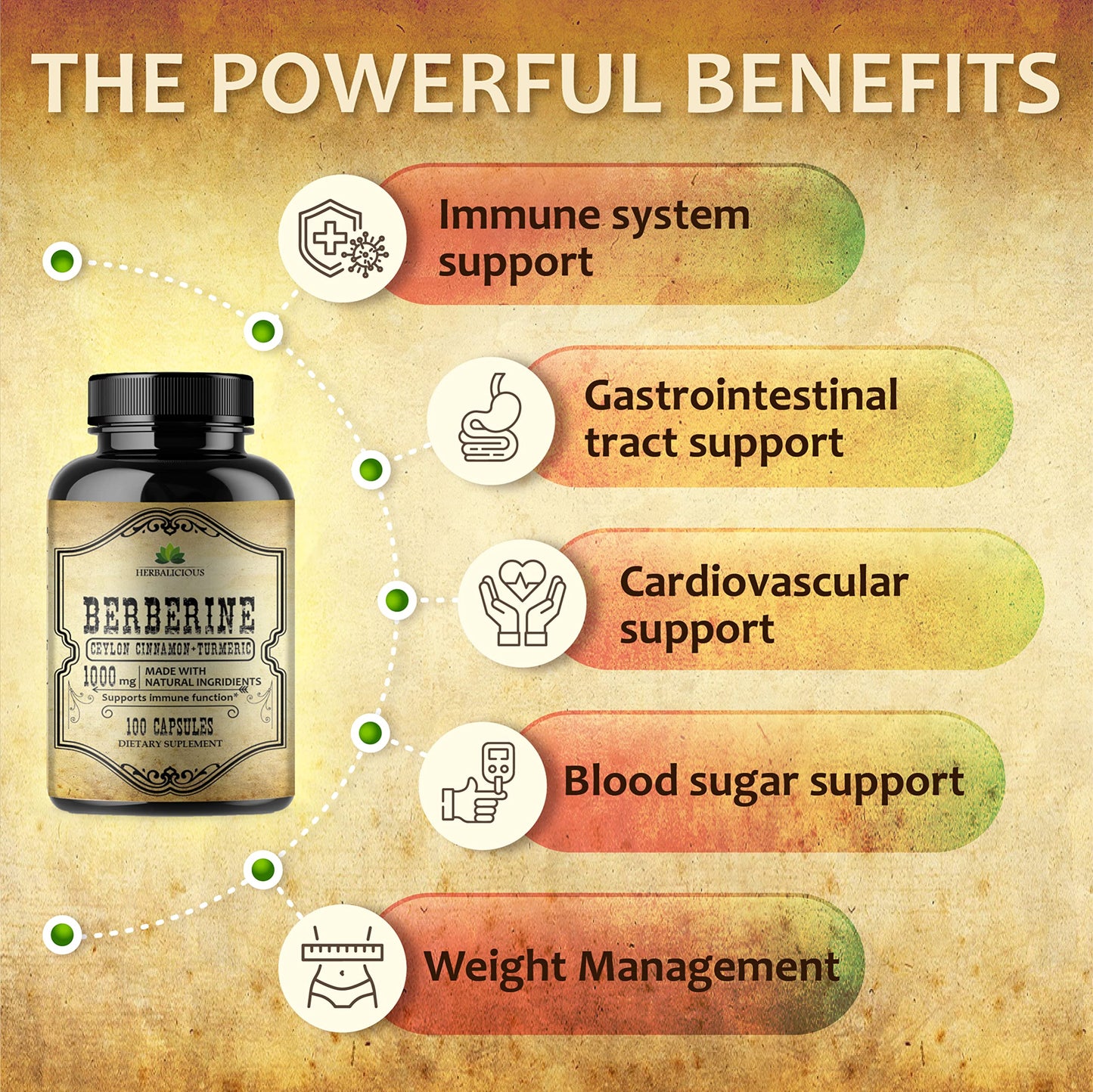 Berberine Capsules Ceylon Cinnamon & Turmeric - HCL Dietary Supplement for Men and Women – Non GMO Berberine 500 mg per Capsule – Ideal for Immune Support - Medaid International