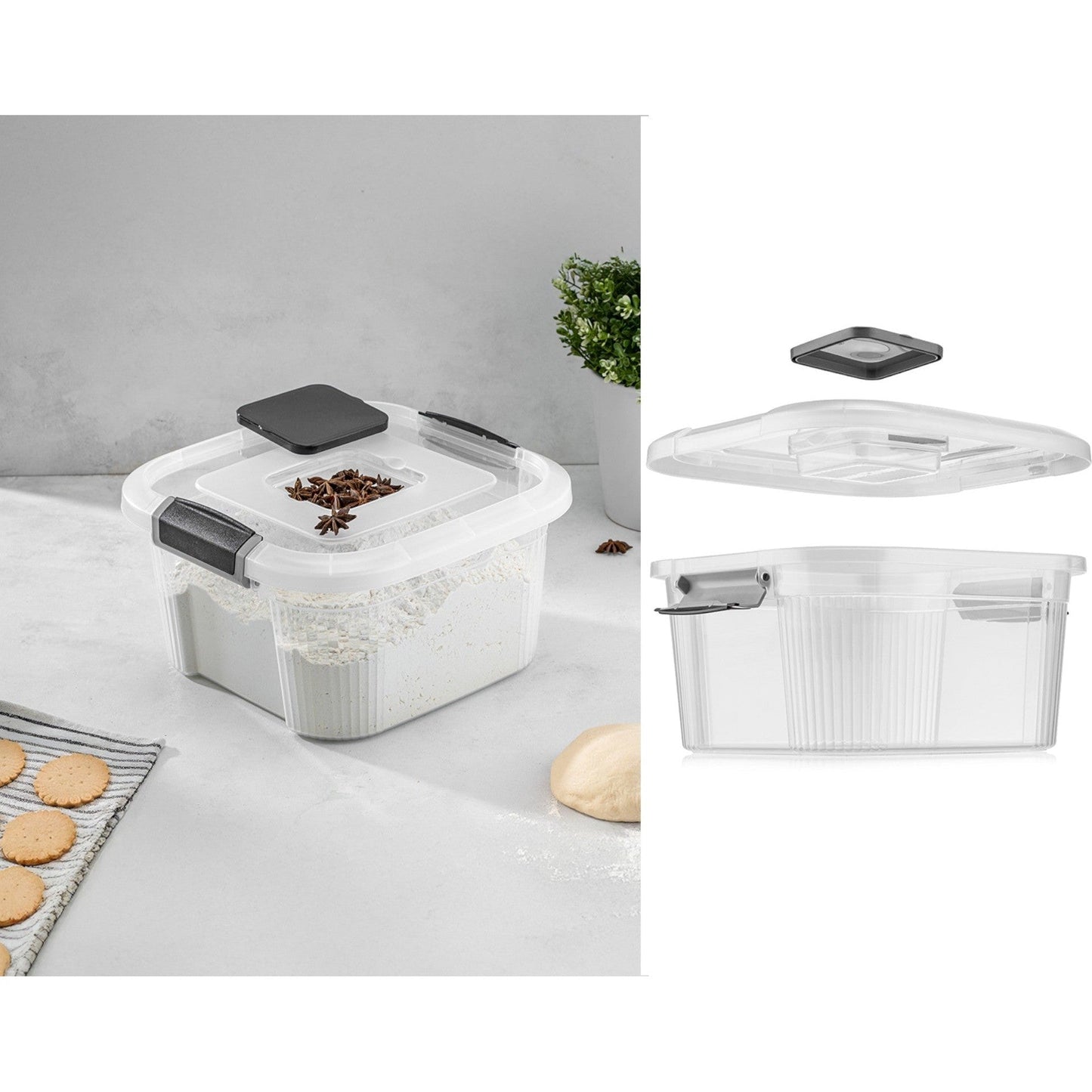 Square Plastic Royal Box 6 Lt with Anti Weevils Box