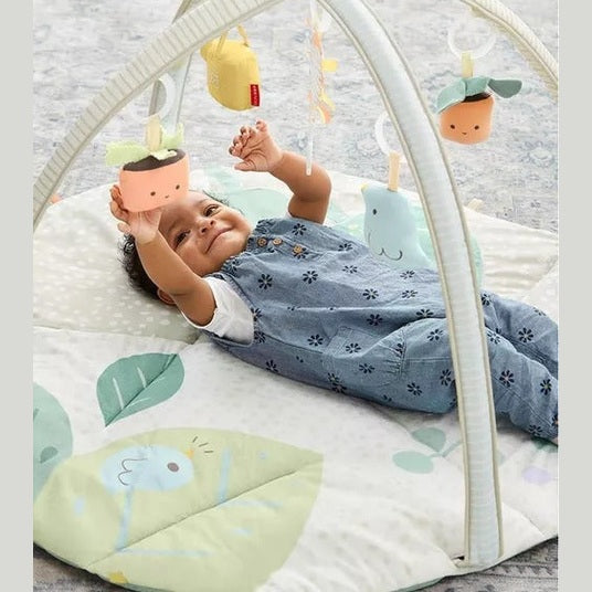 Garden Oasis Activity Gym