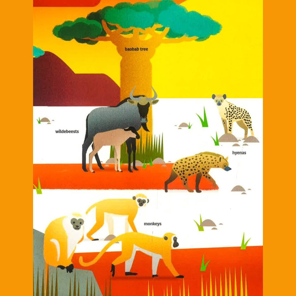 Tumama Kids - Ultimate Spotlight : Savanna Animals Book