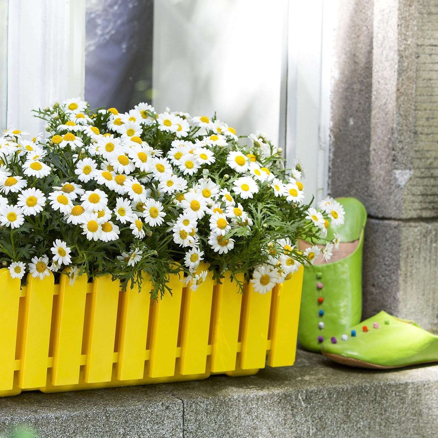 EMSA 508694 Flower Pot – Yellow -Made in Germany-75 cm