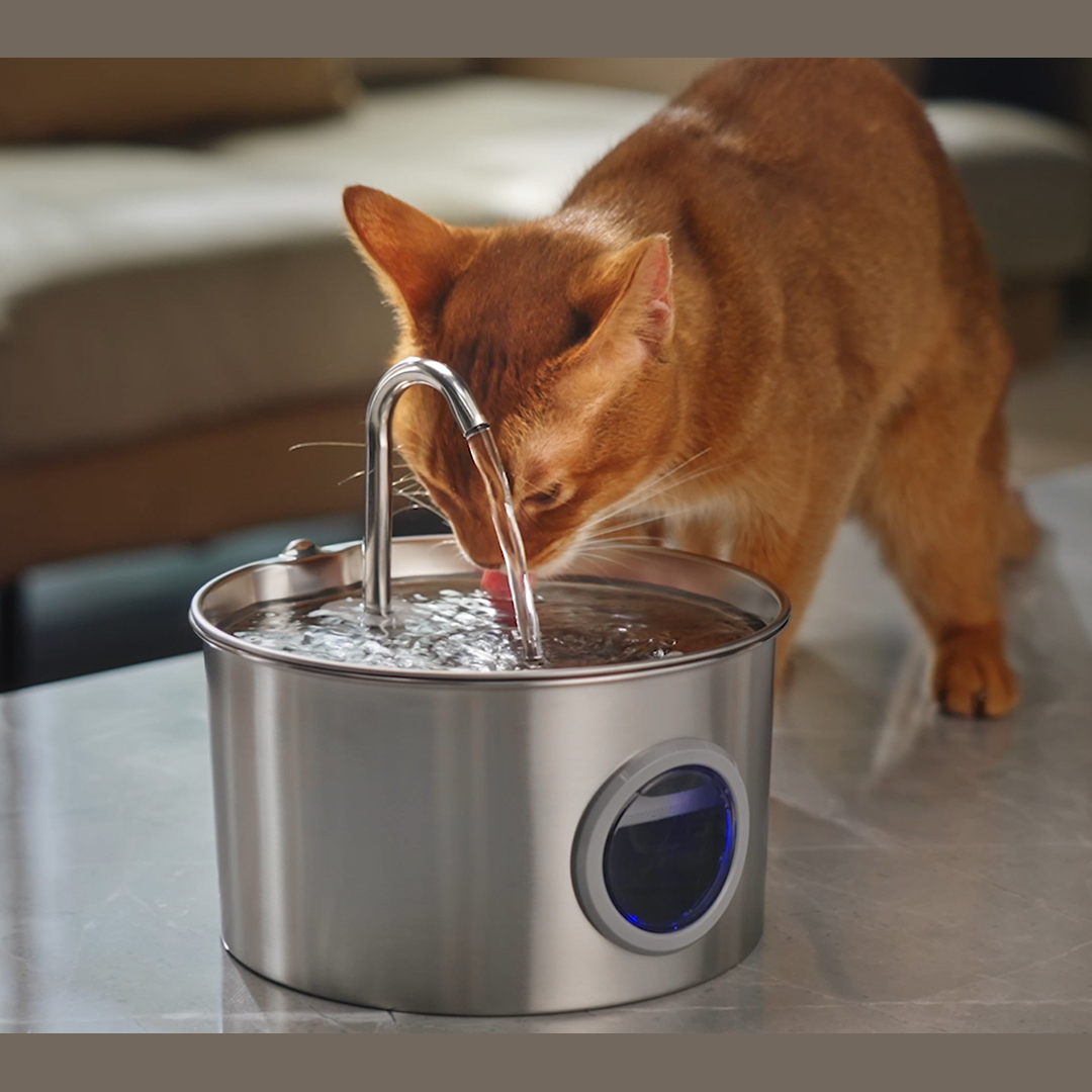 Stainless steel water fountain 3.2 L