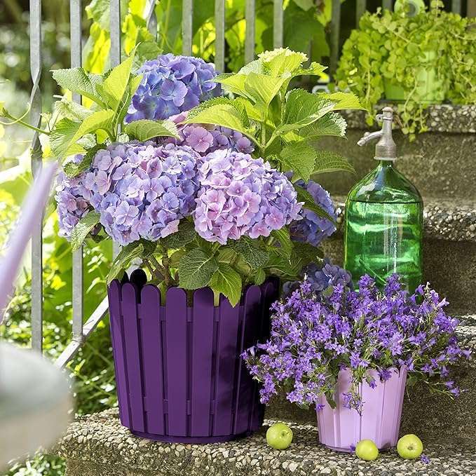 Emsa 512686 – Flowerpot Round, Country House Style, 11 Liter, Purple, Country House