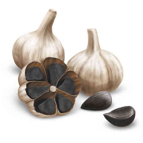 Swiss Energy Black Garlic 20 Soft Gels