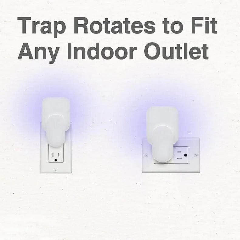 Mosquito Wall Trap + 2 Cards