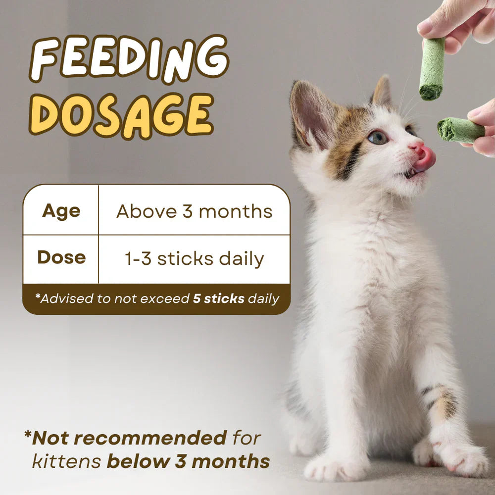 Cat Grass Teething Stick عصا تسنين عشب القطط