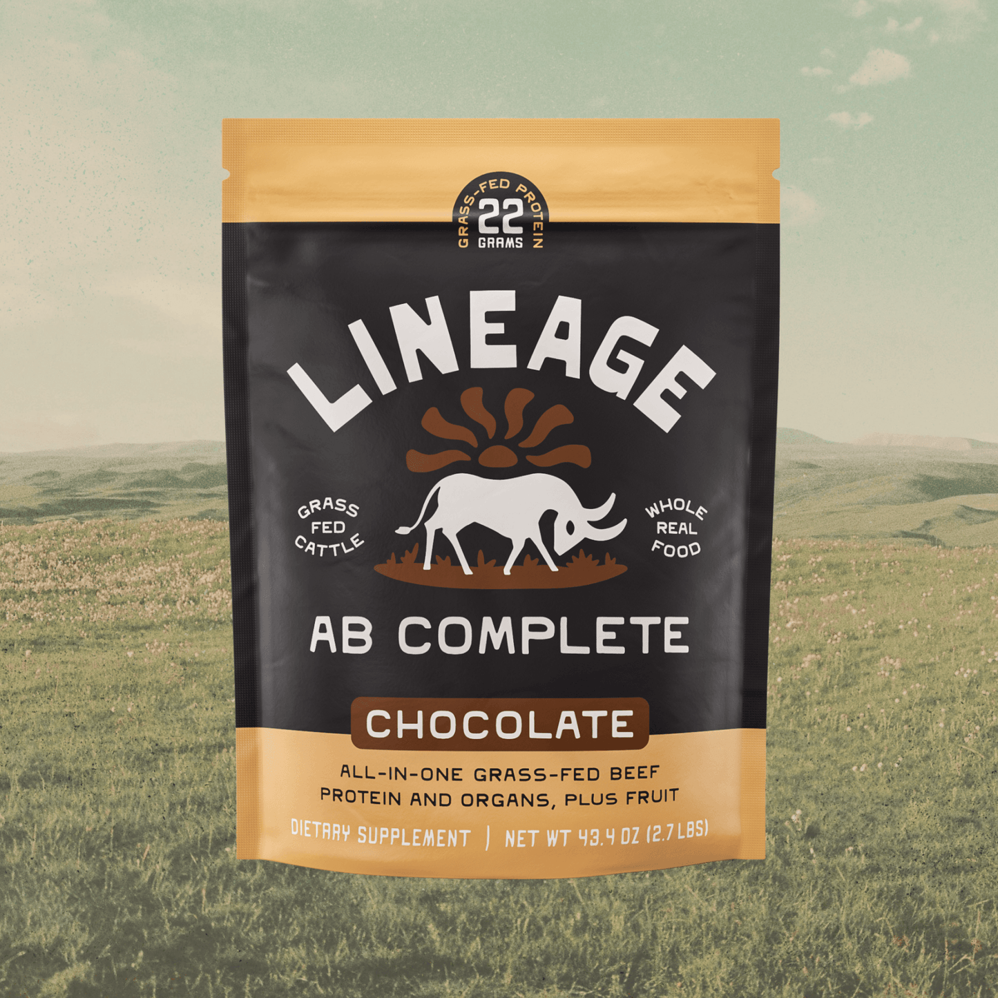 Animal-based Complete Protein Powder (Chocolate)