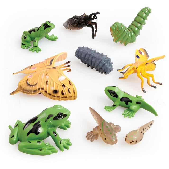 Elc Amphibians Tube
