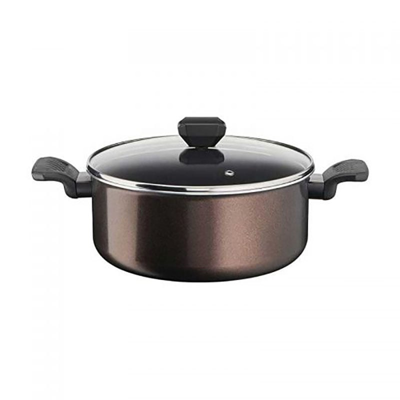 Tefal B5544602 G6 Easy Cook &amp; Clean Stewpot 24Cm + Glass Lid