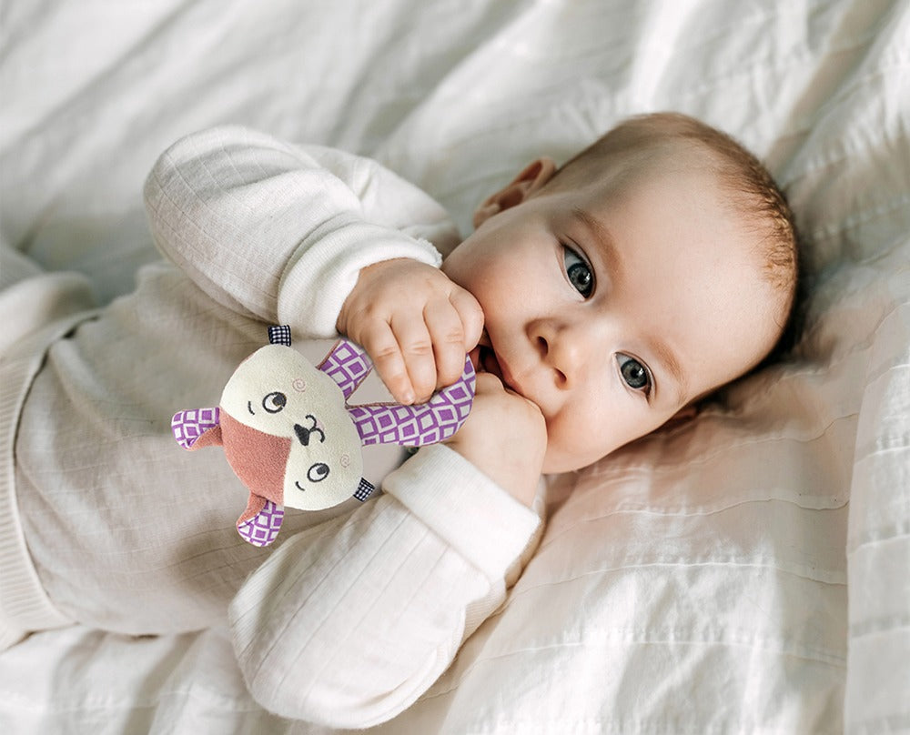 Babyjem Rattle Cat