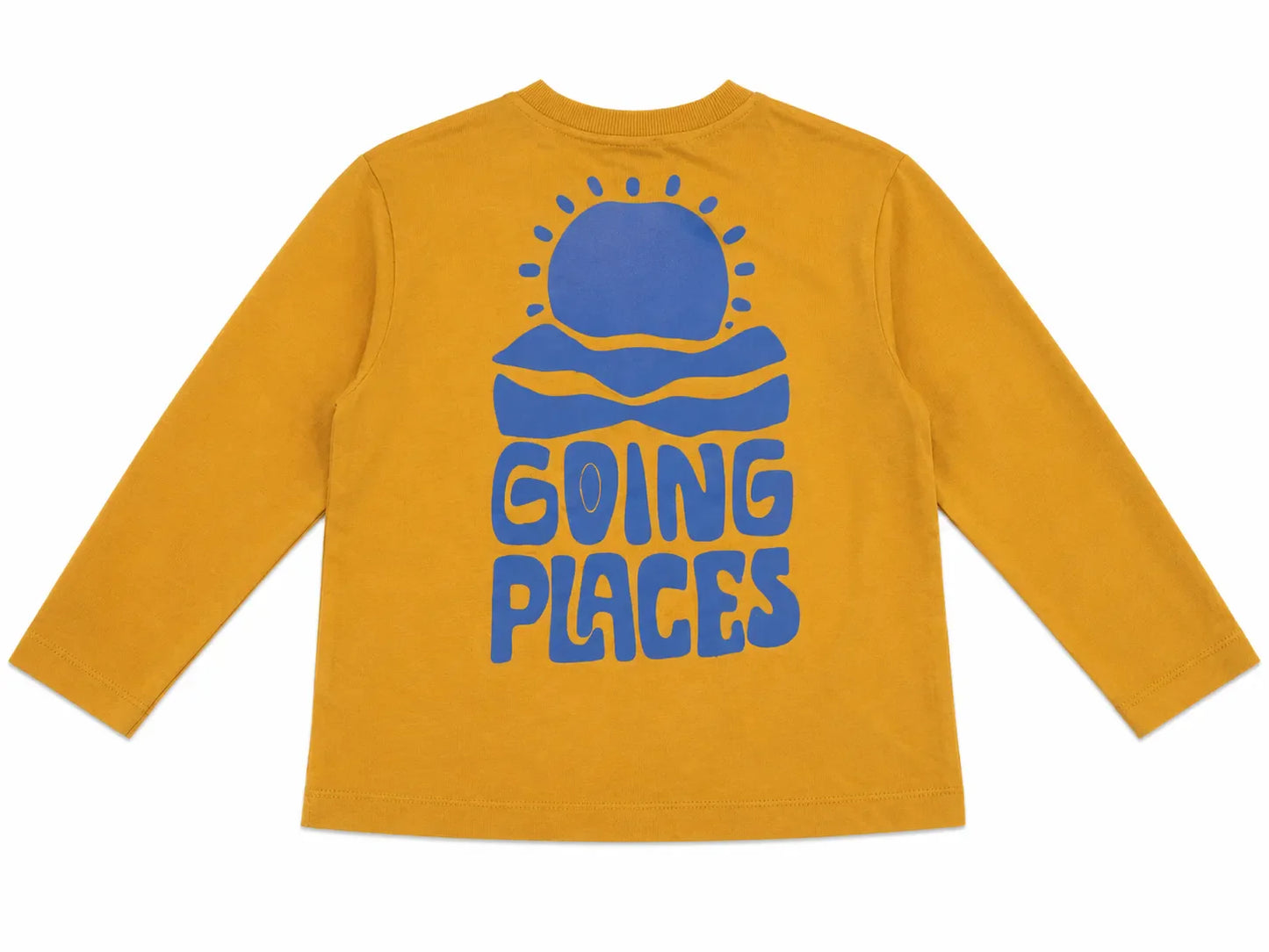 Zara Boy's Light Brown "Growing Places " Printed  Long Sleeve Blouse   | Zara in Lebanon