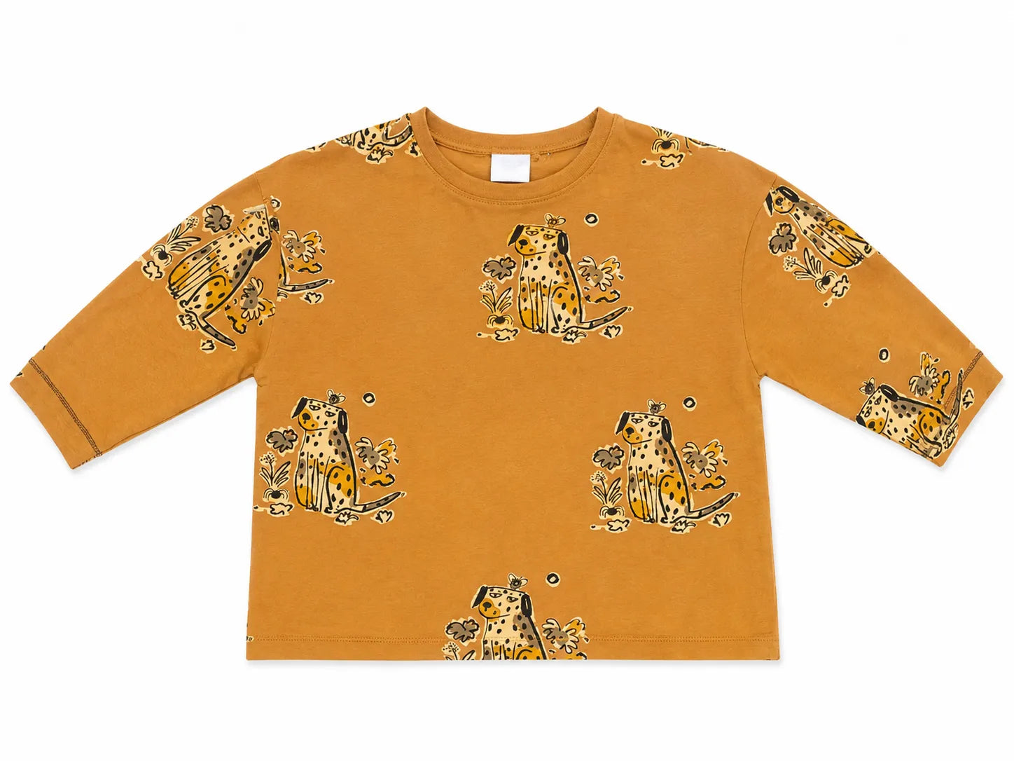Zara Boy's Sand With Dong Printed Long Sleeve Blouse | Zara in Lebanon