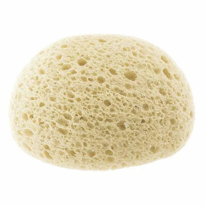 Chicco - Extra Absorbant Sponge - Bath Time