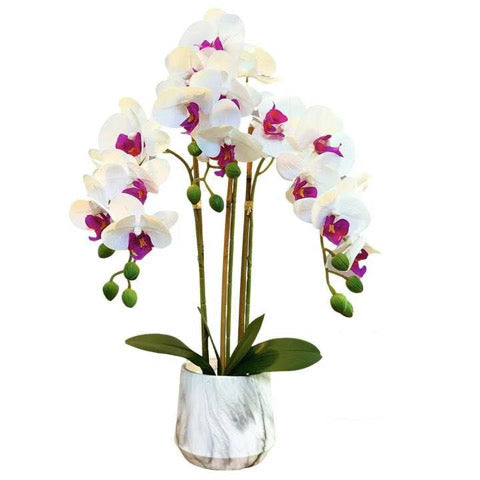 Plastic Flower Pot