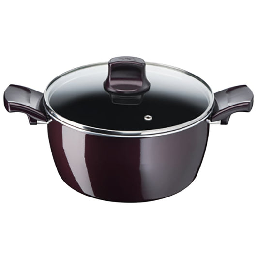 Tefal D5224682 Resist Intense – Stewpot 24cm + Glass Lid
