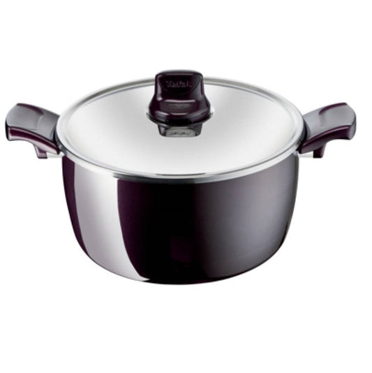 Tefal D5225282 Resist Intense – Stewpot 26cm + Glass Lid