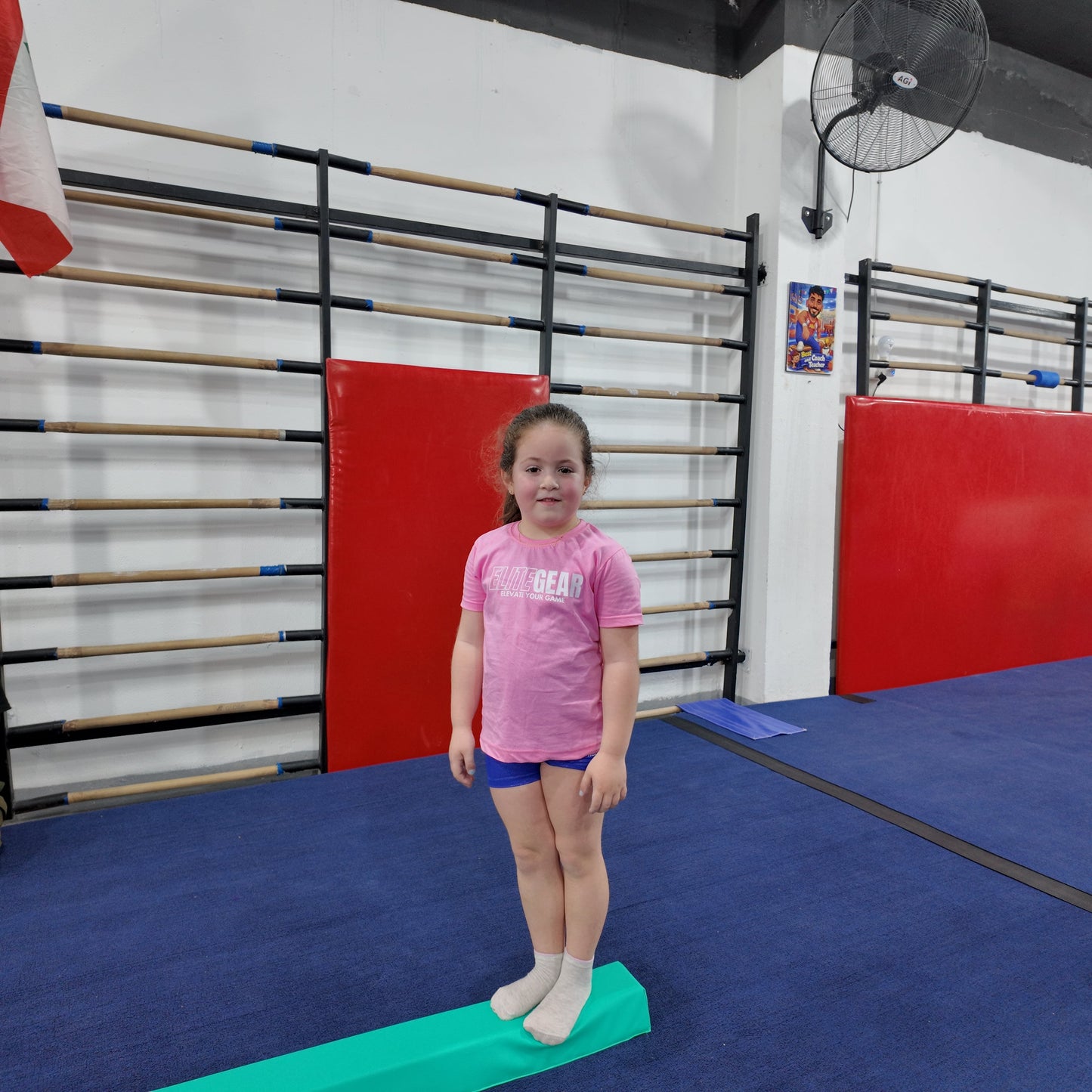 EliteGear™ Kids Balance Beam