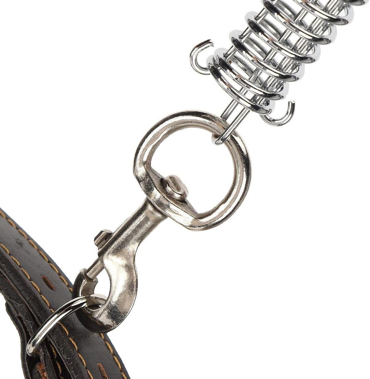 Dog Heavy Duty Leather Leash DP165
