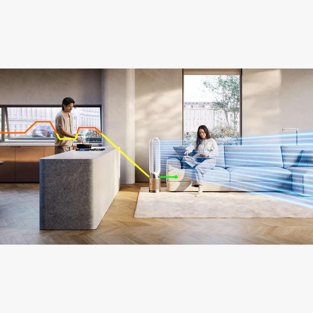 Dyson Air Purifier Cool PC2 De-NOx (White/Gold)