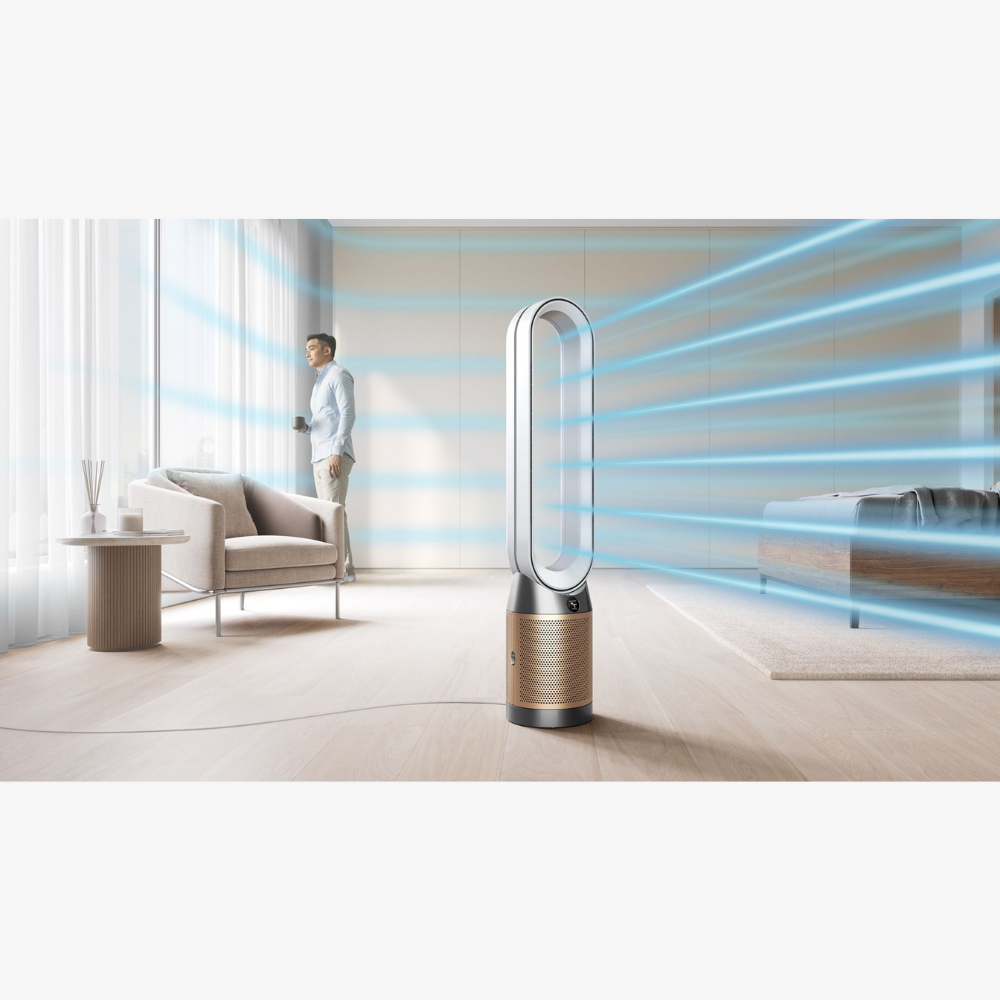 Dyson Air Purifier Cool PC2 De-NOx (White/Gold)