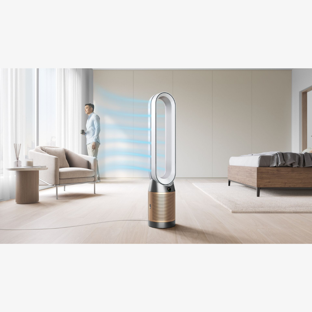Dyson Air Purifier Cool PC2 De-NOx (White/Gold)