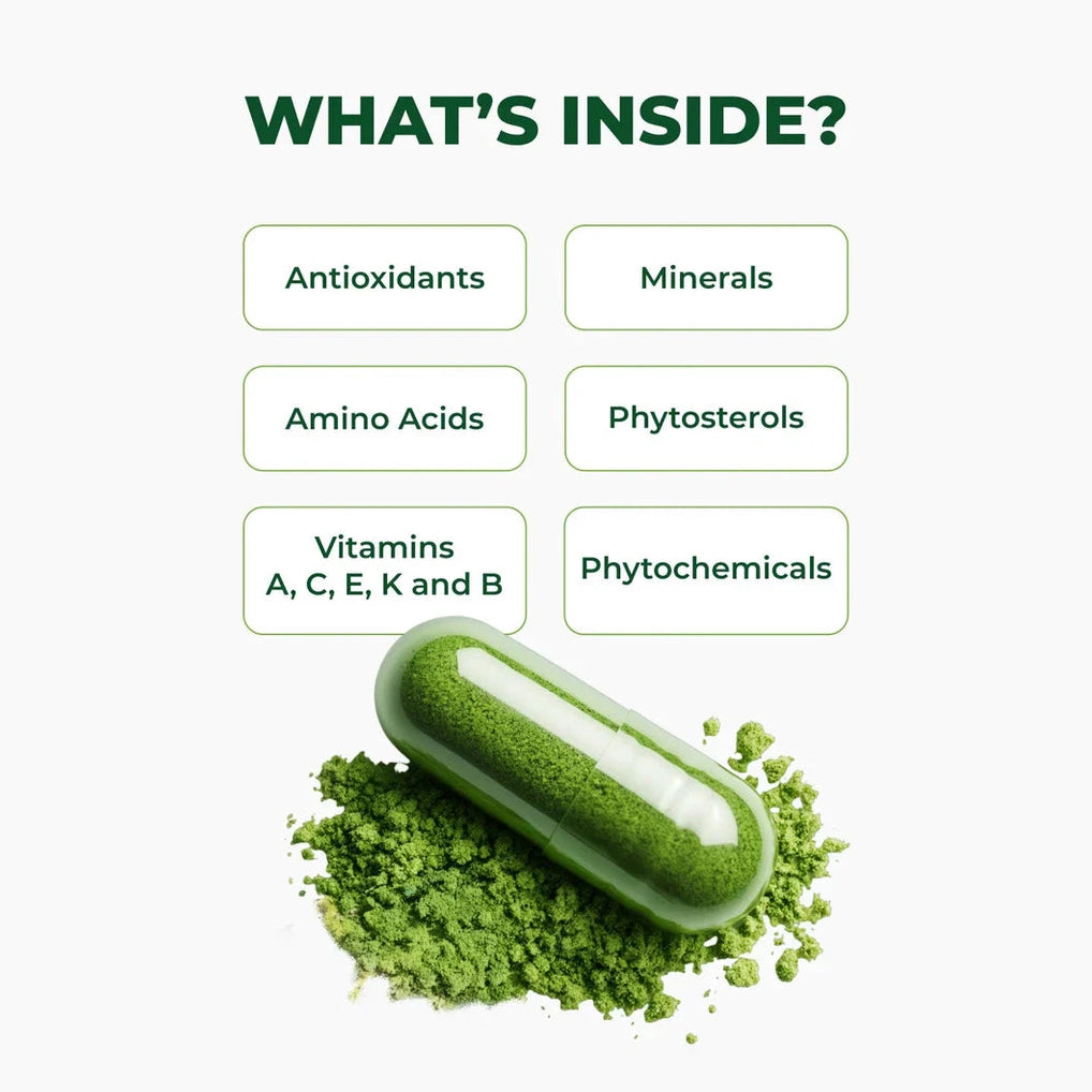 Moringa Leaf Powder مسحوق أوراق المورينجا